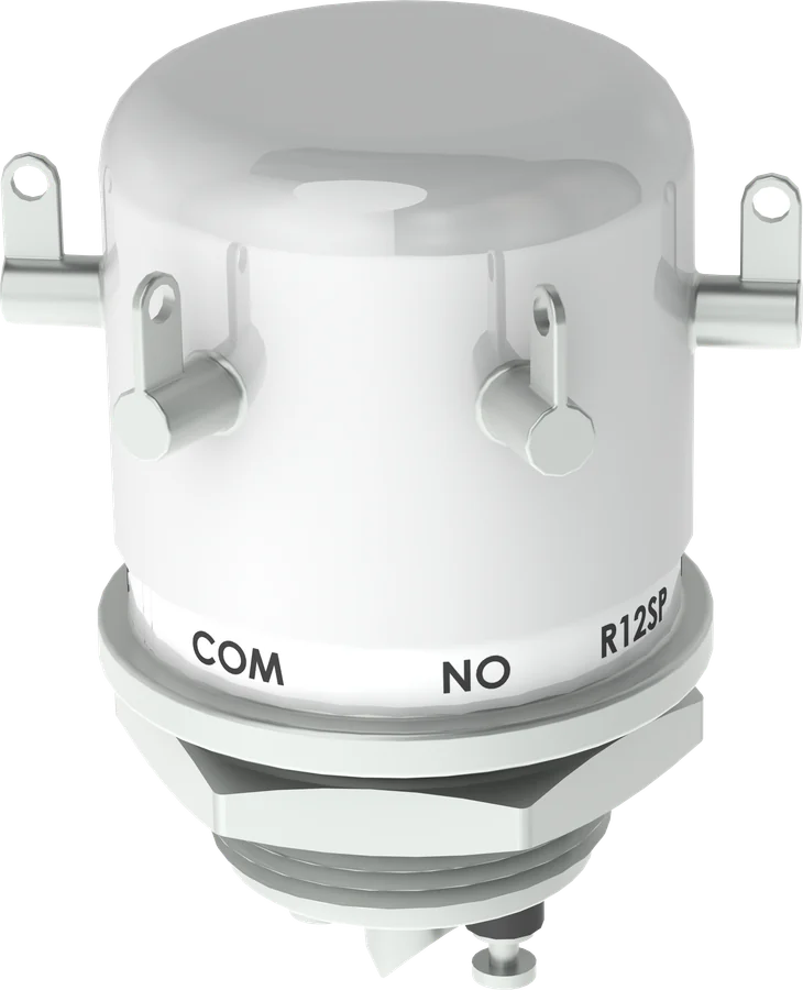 R12 Series high voltage relay