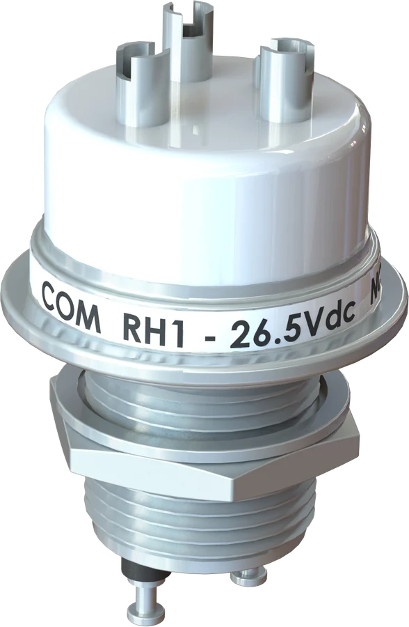 RH1 Series high voltage relay